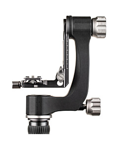 Benro GH2N rótula gimbal Casanova foto