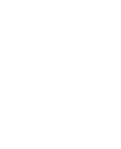 Logo ZILR