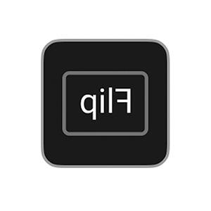 icono flip