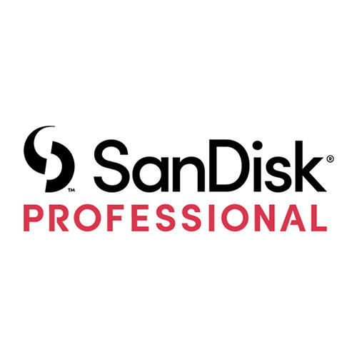 sandisk-professional-logo-500-desktop