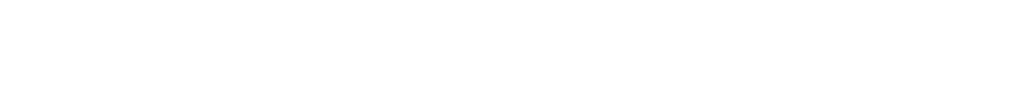 Sandisk-Horizontal-Mark-TM-White-RGB_PETITET