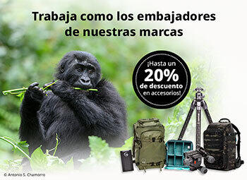 Oferta accesorios en Casanova Foto, trabaja como nuestros embajadores Oferta accesorios en Casanova Foto, trabaja como nuestros embajadores